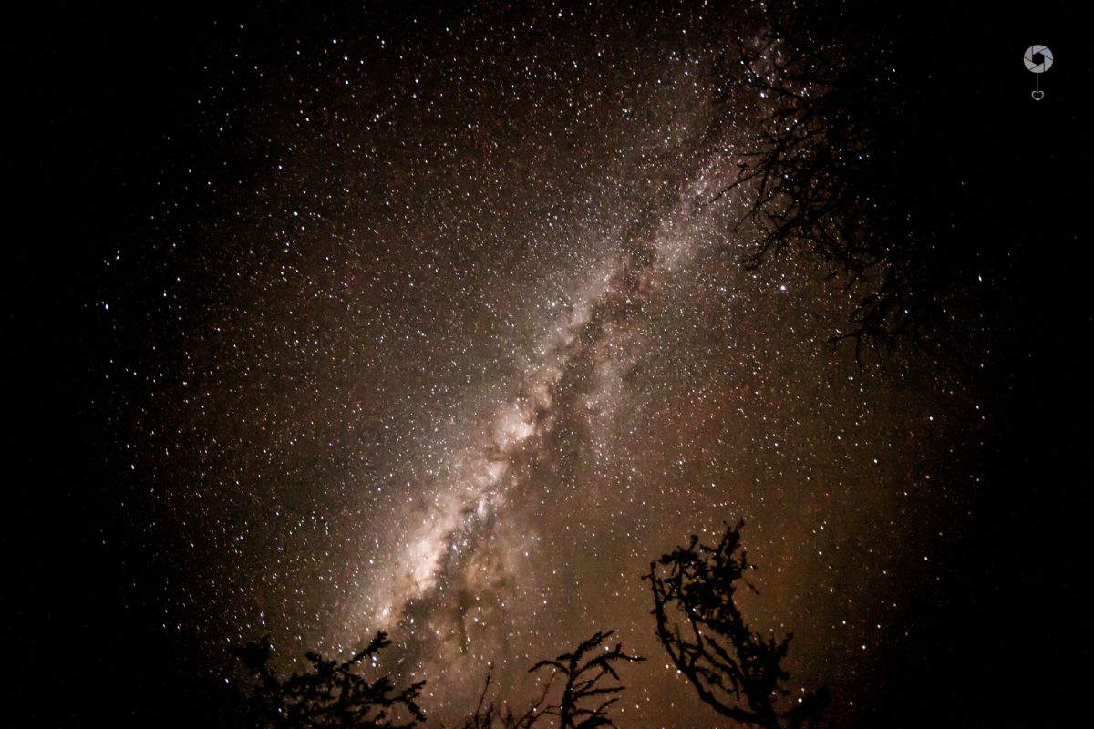 via lattea nel masai mara, Liliana Cantù