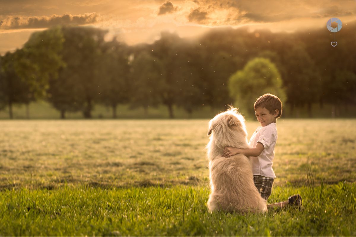 foto al parco con bimbo e cane di liliana Cantù